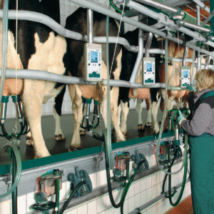 GEA EuroClass 800/850